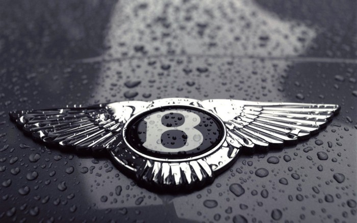 Bentley logo on the car, wallpaper 1920x1200