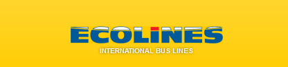 Ecolines logotype and slogan, yellow