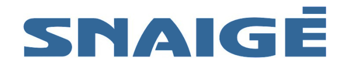 Snaigė, Snaige logo 2