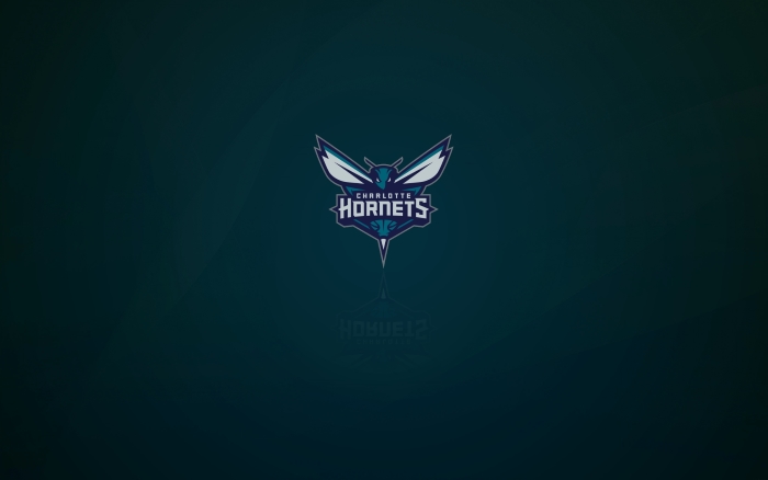 Charlotte Hornets wallpaper with logo, widescreen - 1920x1200, 16x10