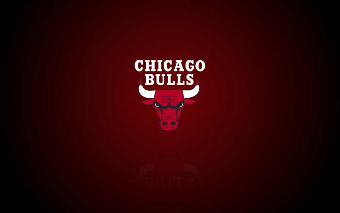 Chicago Bulls wallpaper with logo on it, widescreen, 1920x1200 px