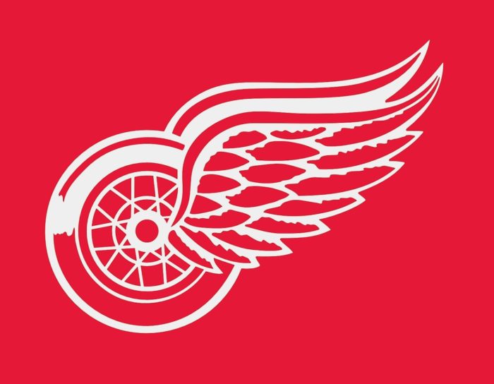 Detroit Red Wings emblem, logo, red-pink bg