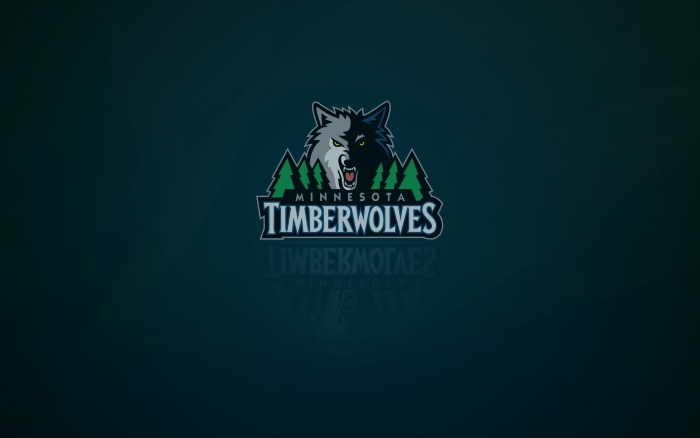 Minnesota Timberwolves wallpaper and logo with shadow on it, widescreen 16x10, 1920x1200 px