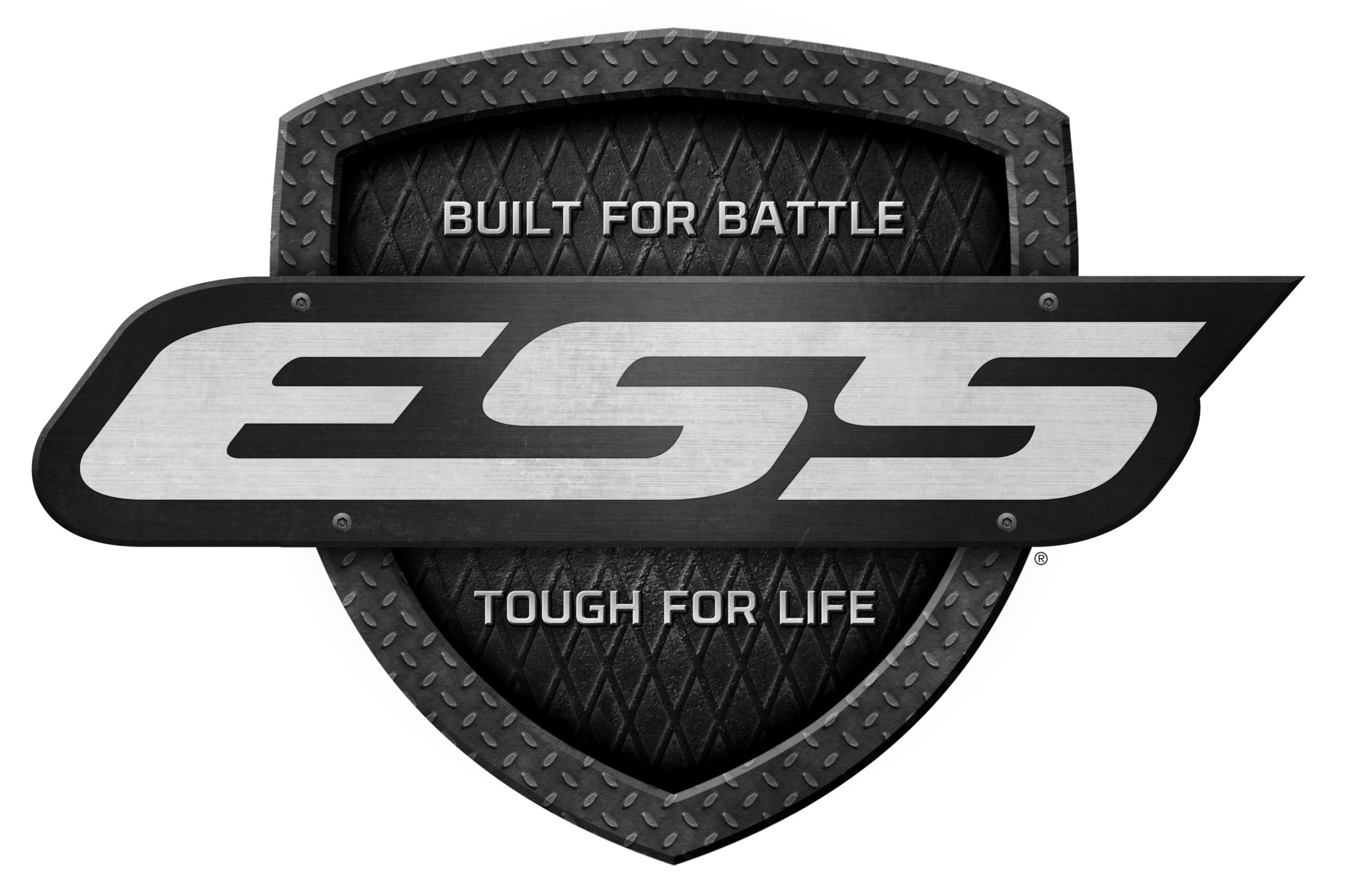 ESS logo (Eye Safety Systems)