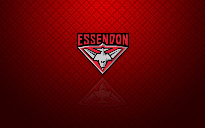 Essendon Bombers wallpaper, background with logo - 1920x1200px