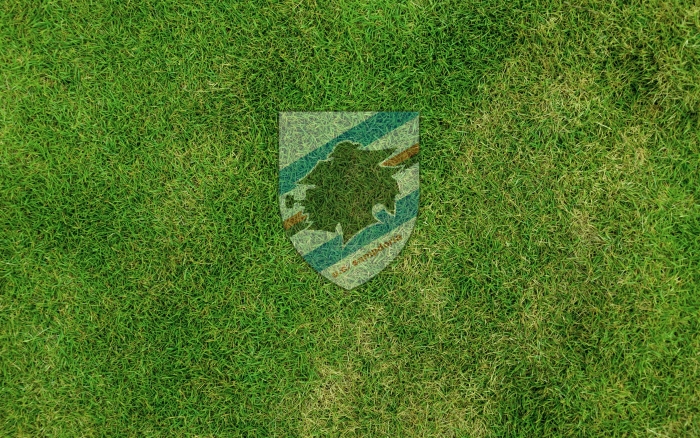 U.C. Sampdoria wallpaper with club logo on the grass, widescreen desktop background - 1920x1200