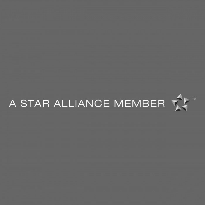 A Star Alliance Member logo cube