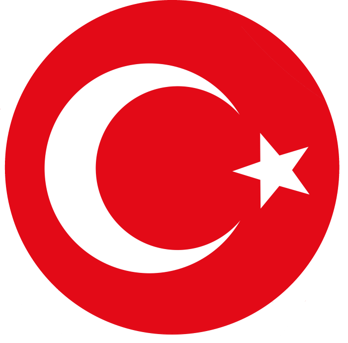 Turkey national football team logo, crest