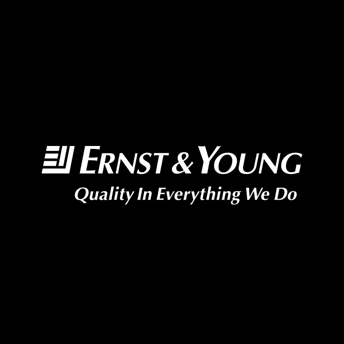 Ernst Young logo cube
