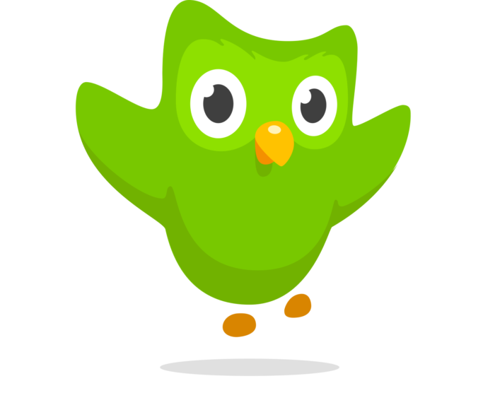 Duolingo logo, owl