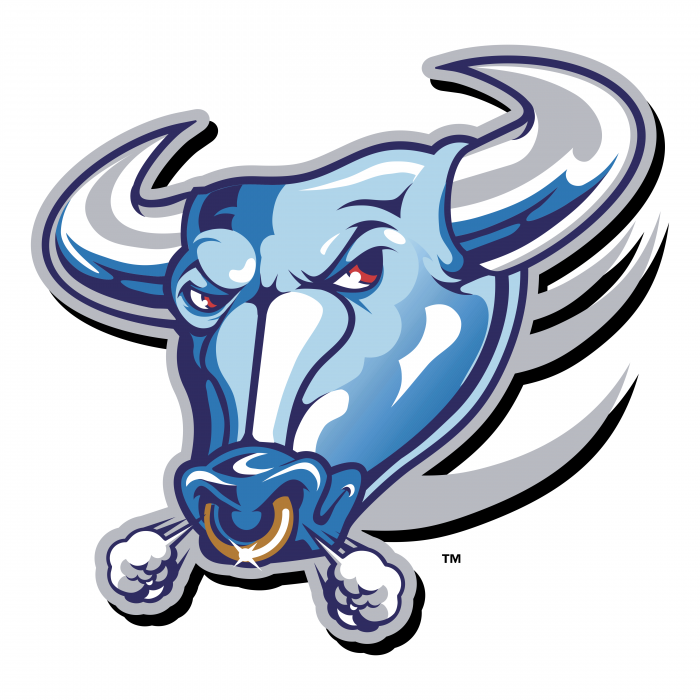 Buffalo Bulls logo tm