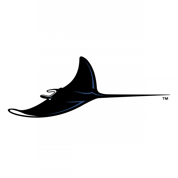 Tampa Bay Devil Rays logo black