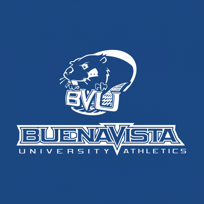 BVU Beavers logo cube
