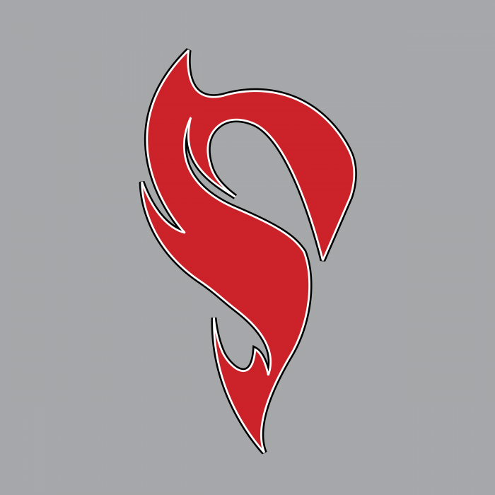 STX Lacrosse logo grey