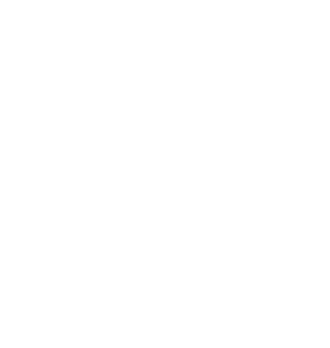 Nimiq Logo white vertically