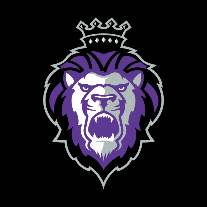 Reading Royals logo cube