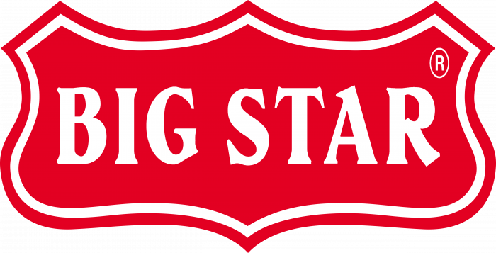 Big Star Logo old