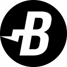BurstCoin Logo