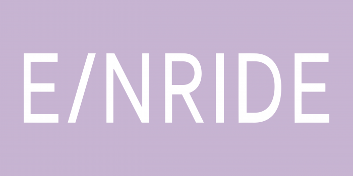 Einride Logo new