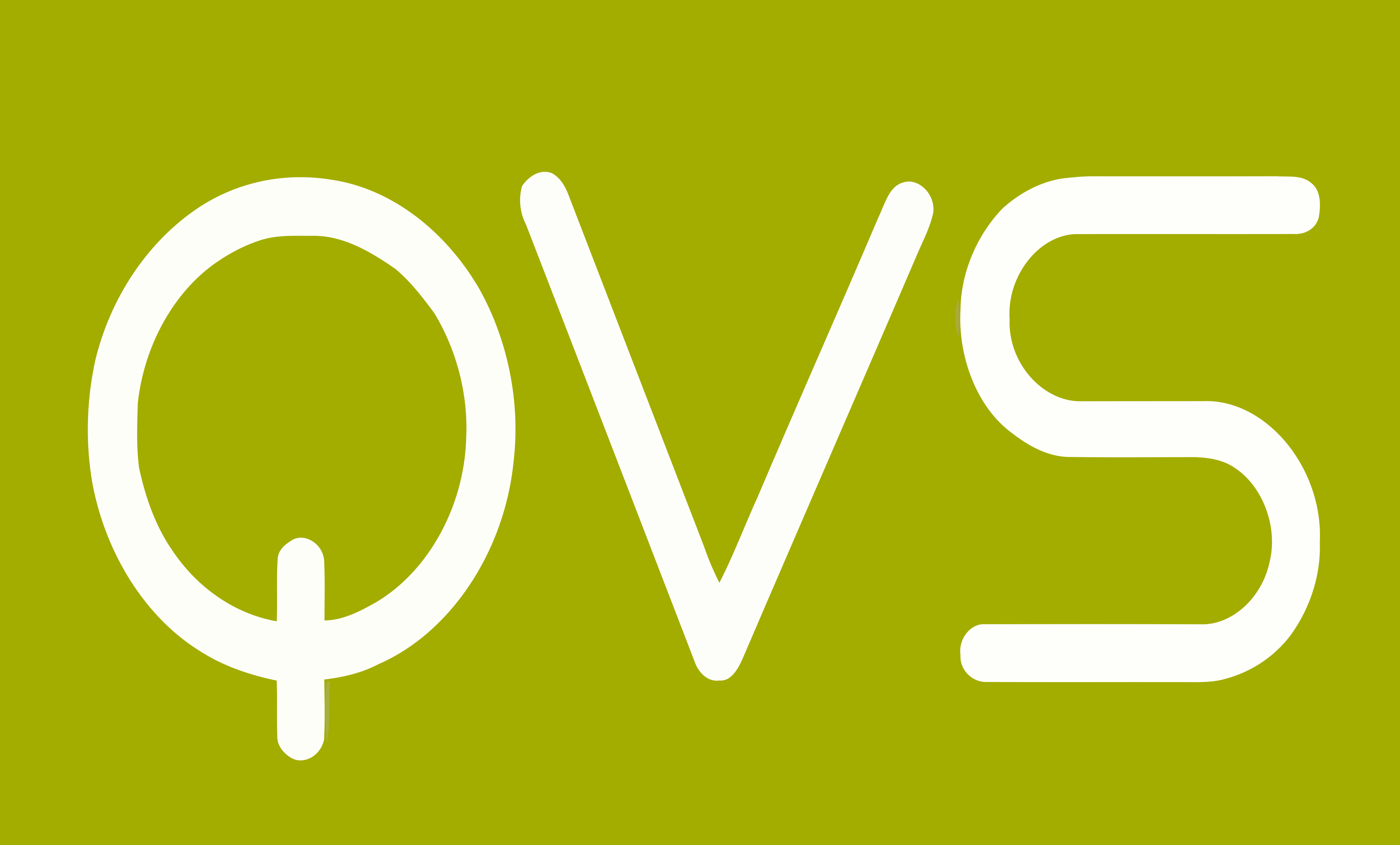 Quality value. Логотип QVS. Value лого. Qualita логотип. Eurostyle logo.