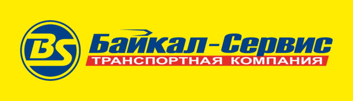 Baikal Service Logo old
