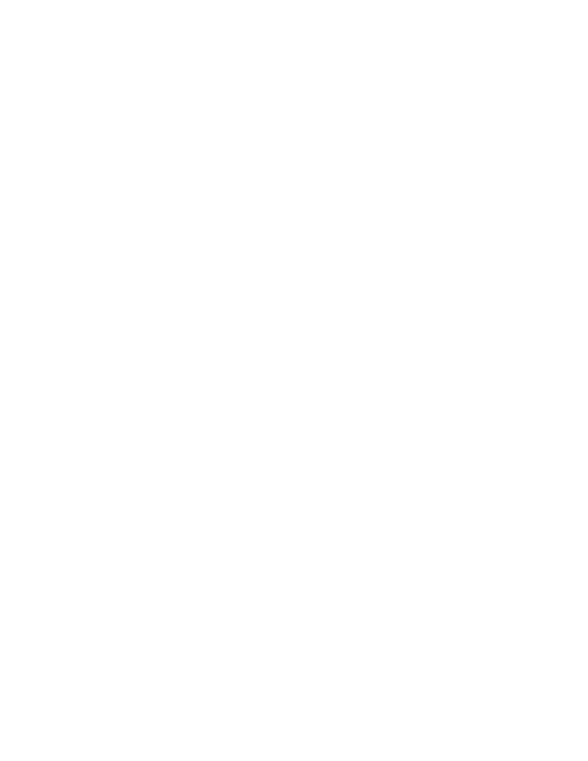 Mount St. Mary's University Logo white
