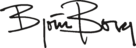 Björn Borg Logo black