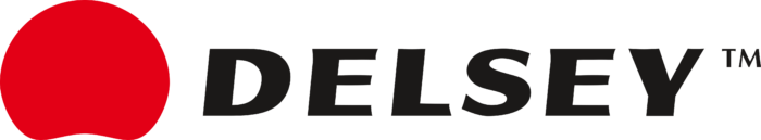 Delsey Logo full