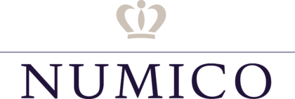 Royal Numico N.V. Logo